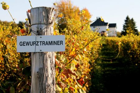 Eastern Townships Wine Route