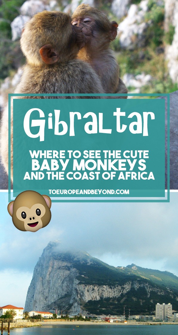 That Time I Trespassed So I Could Hang Out With Monkeys in Gibraltar