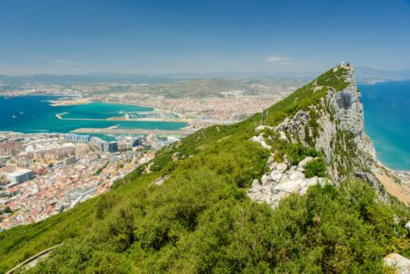 monkeys in gibraltar