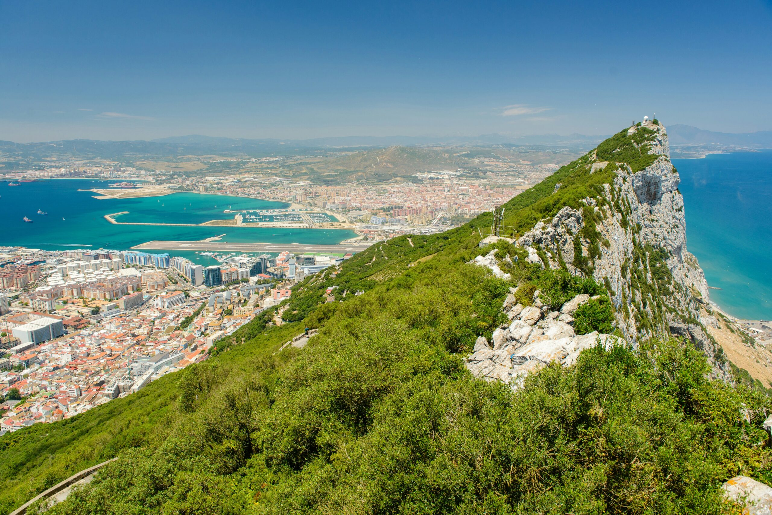 monkeys in gibraltar