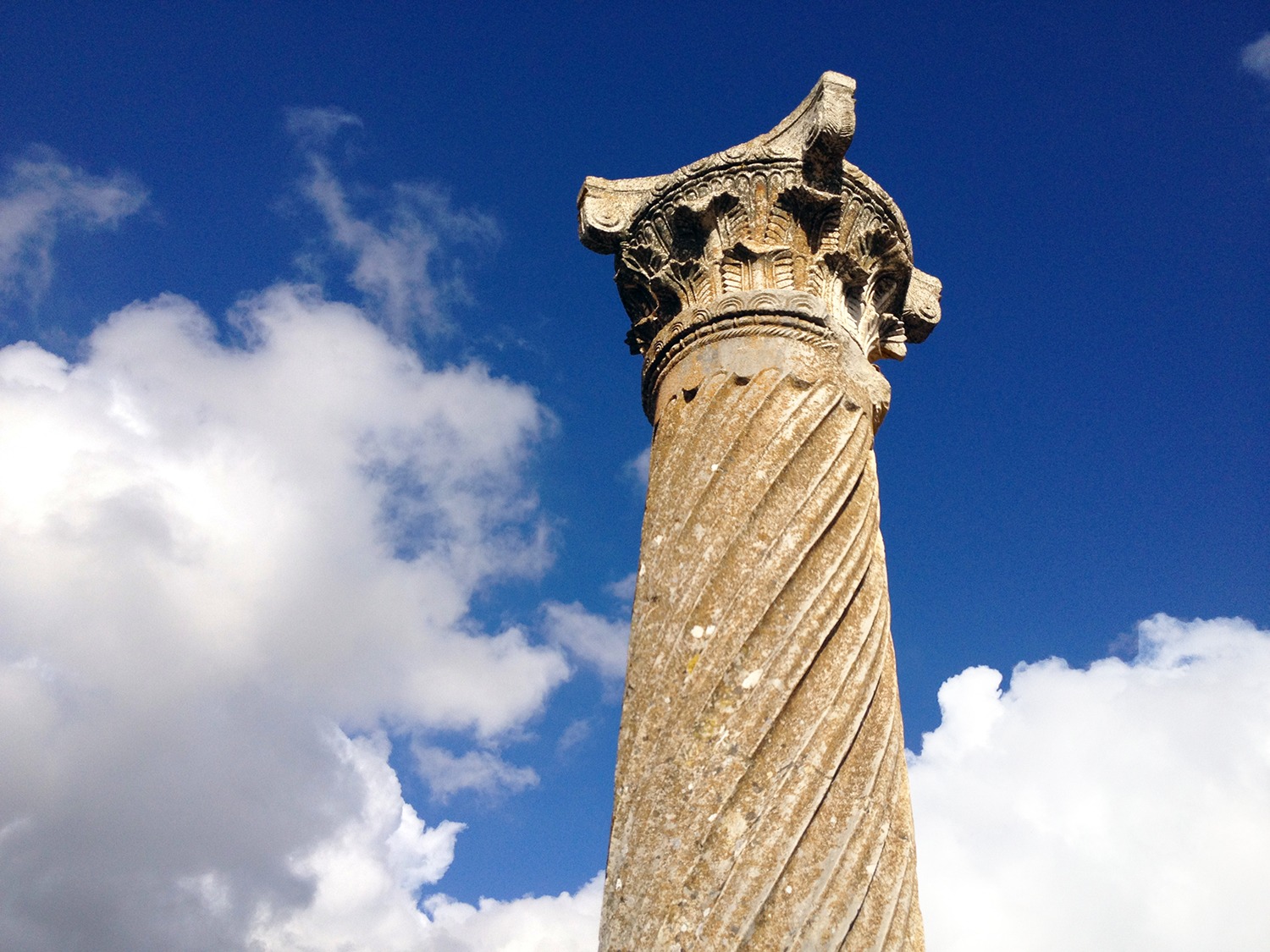 volubilis 