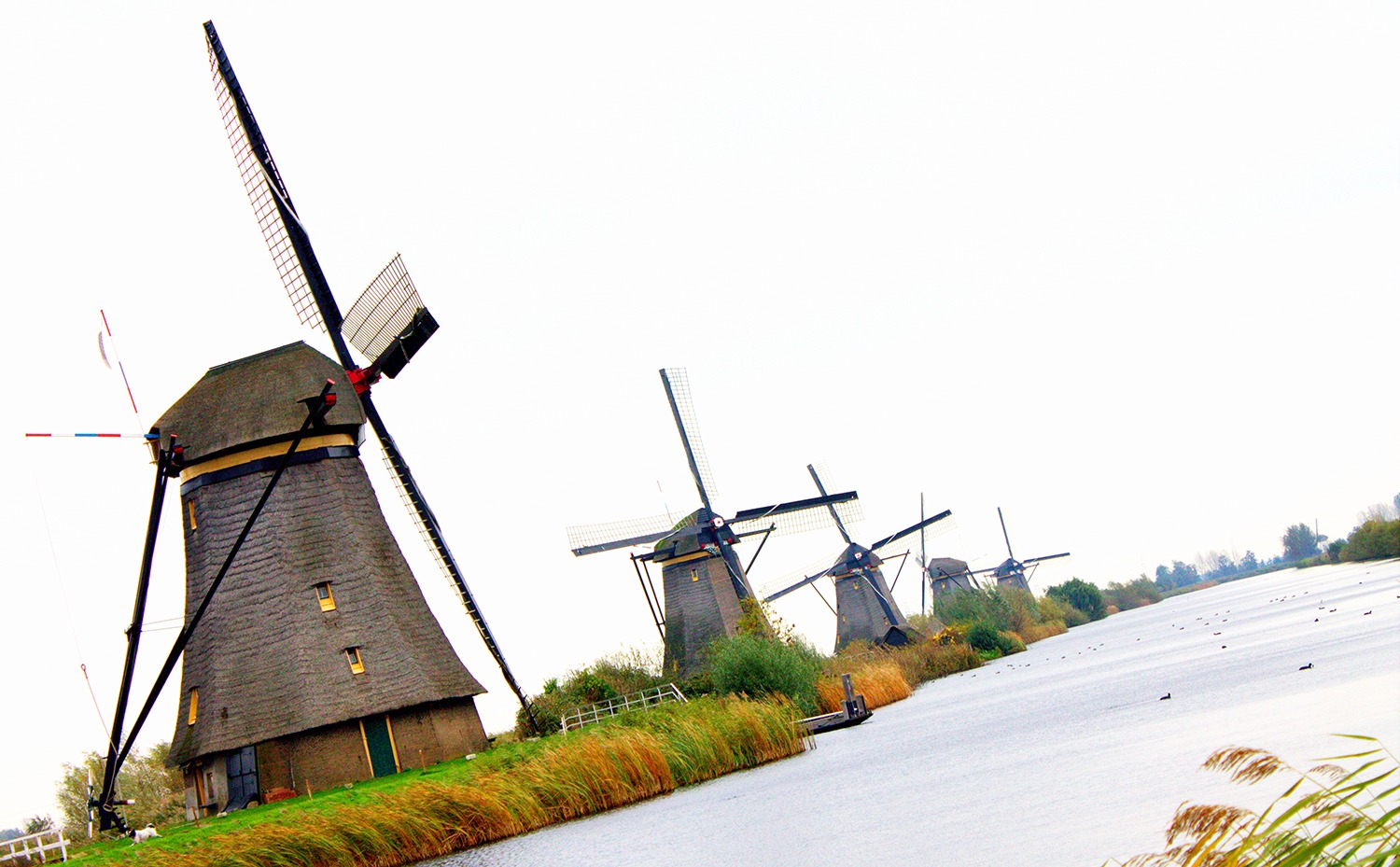 Kinderdijk Windmills