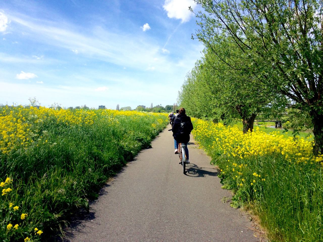 bicycle day trip amsterdam