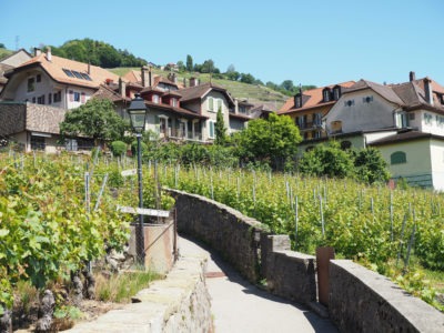 Switzerland-travel-Lavaux-vineyards