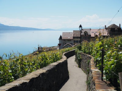 Switzerland-wine-Lavaux