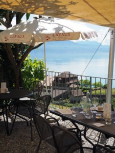 things-to-do-in-Switzerland-Lavaux-vineyards