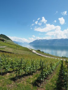 things-to-do-in-Switzerland-Lavaux-wineries