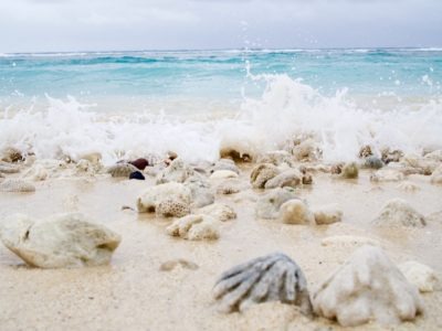 cook islands travel