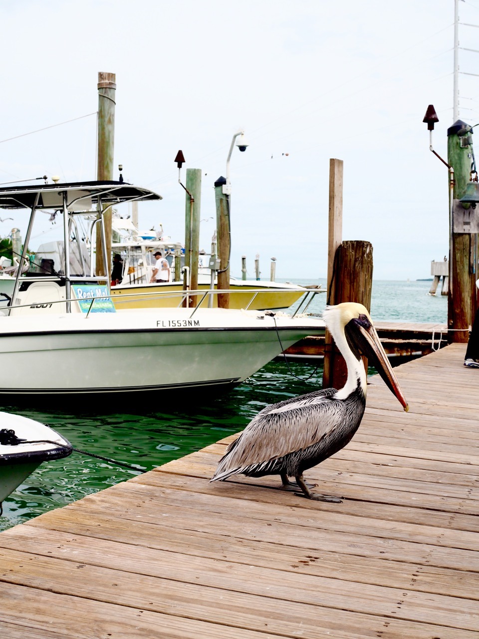 things to do in the florida keys - 1