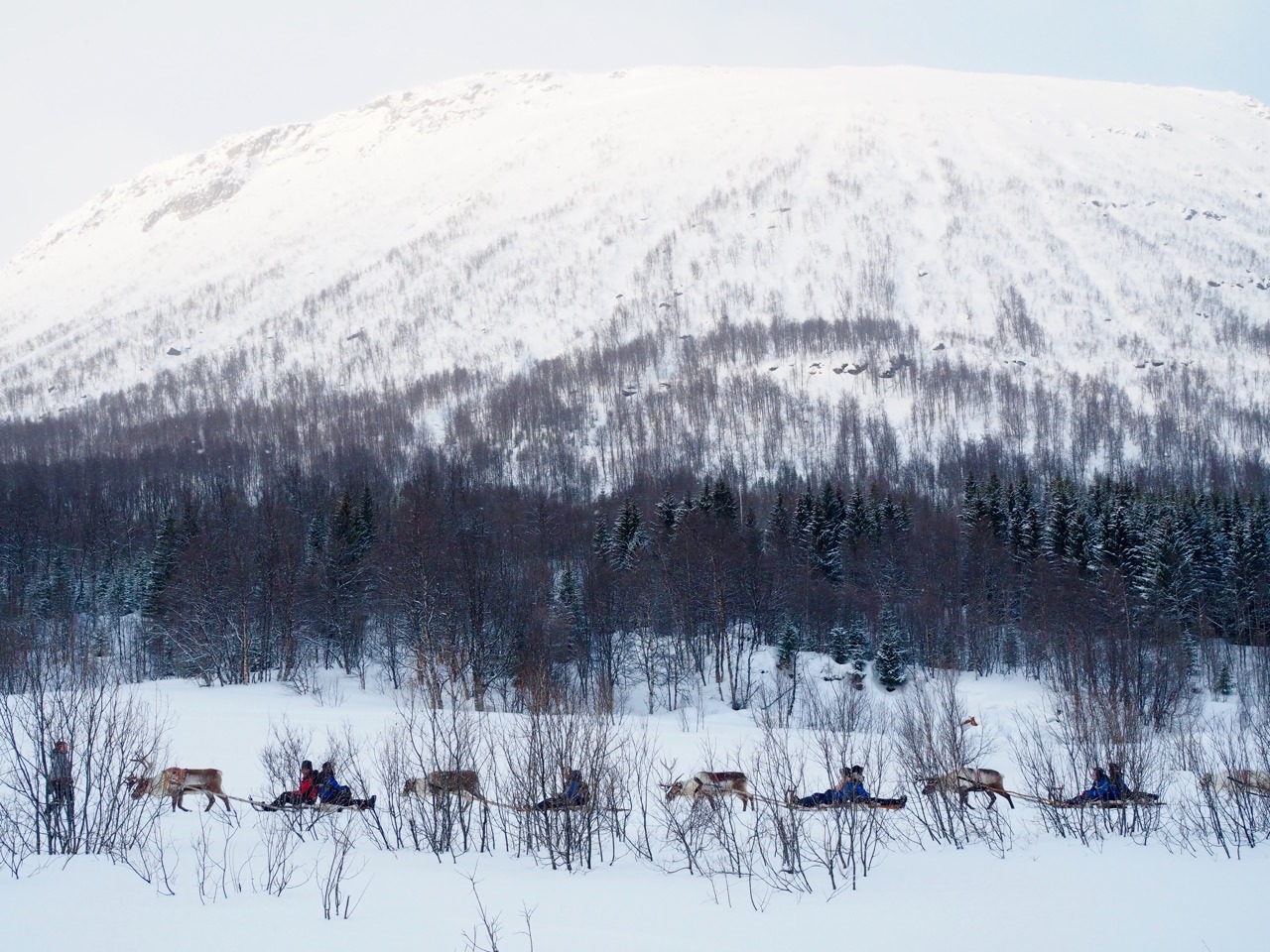 things to do in Tromsø