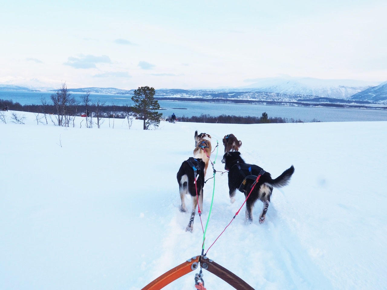 Norway in winter