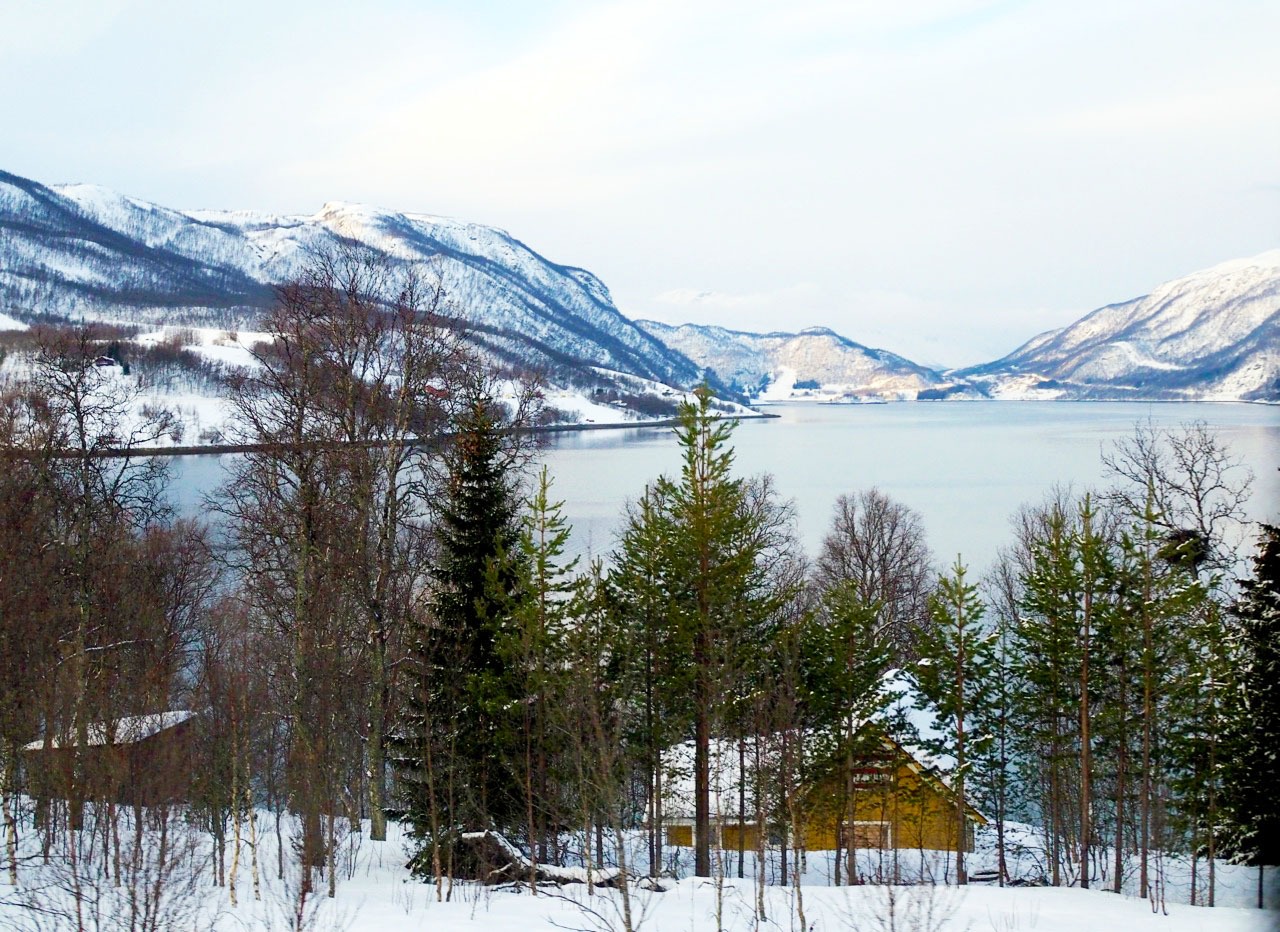 Norway in winter