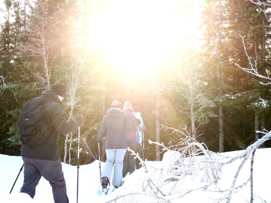 skiing in Quebec City in winter