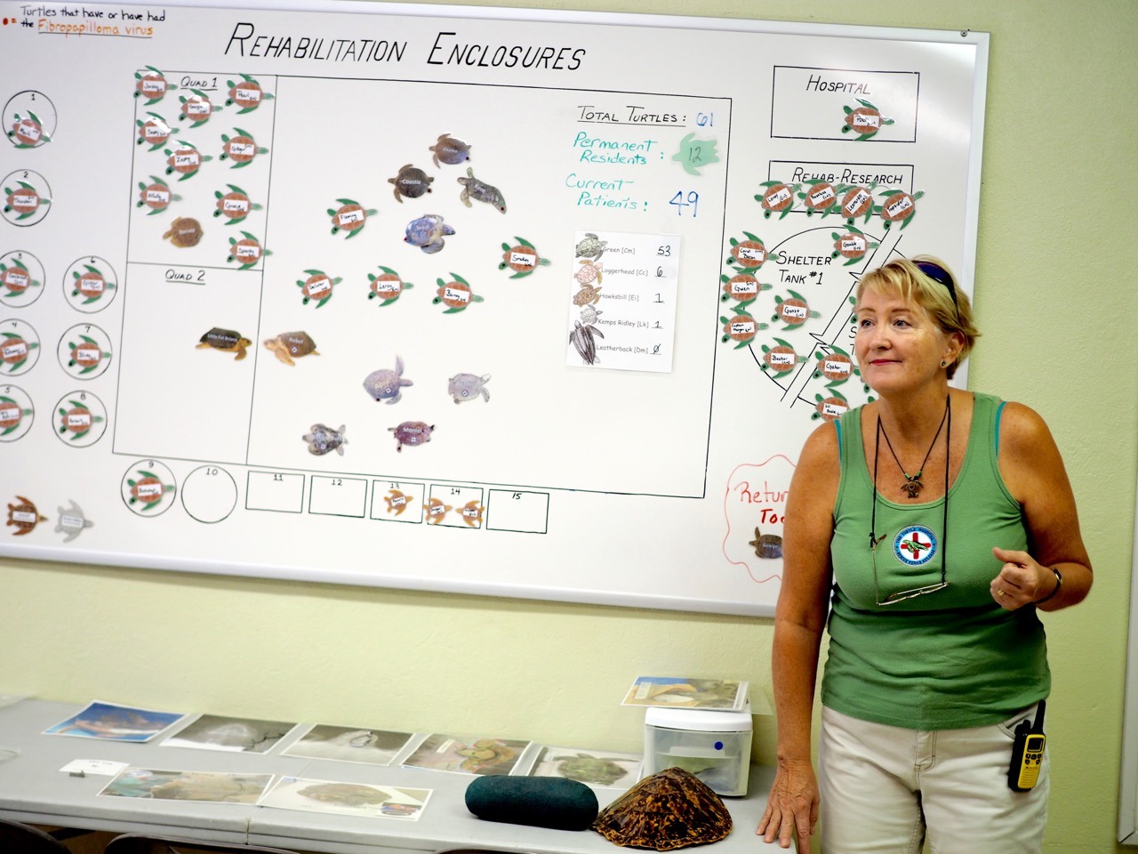 Turtle Hospital in The Florida Keys