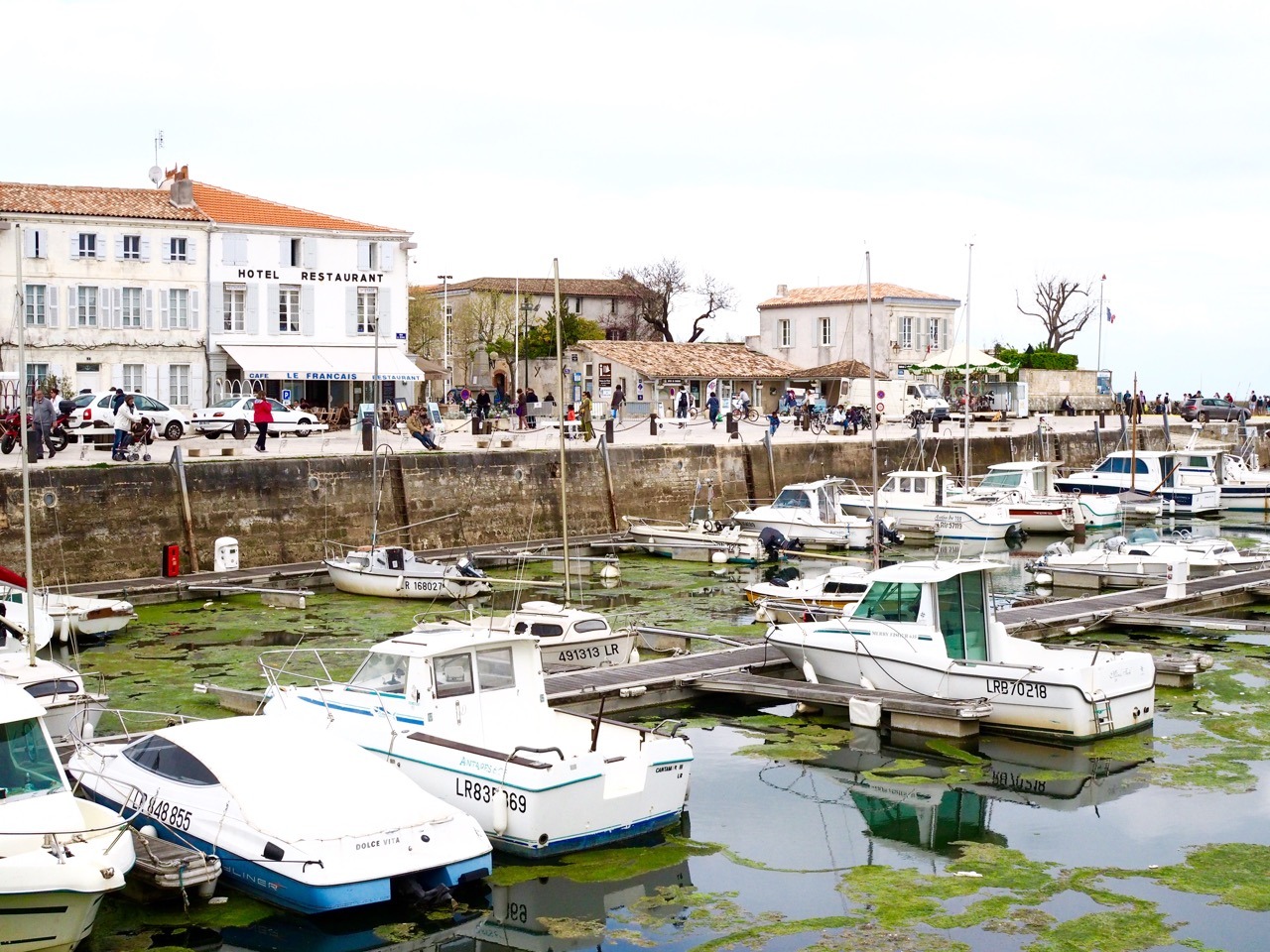 things to do in ile de ré