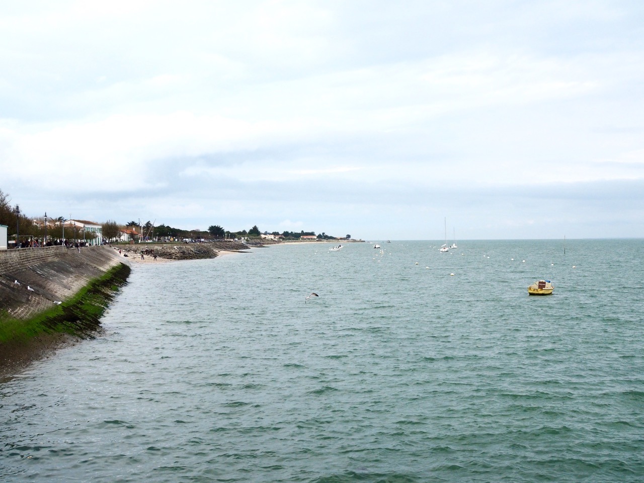 things to do in ile de ré