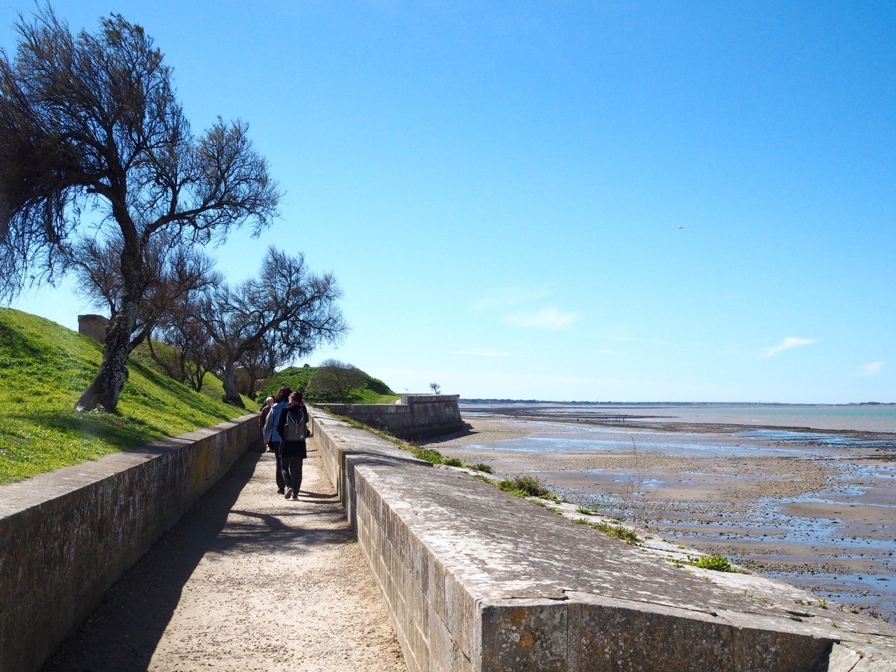 things to do in ile de ré