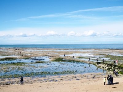 things to do in ile de ré