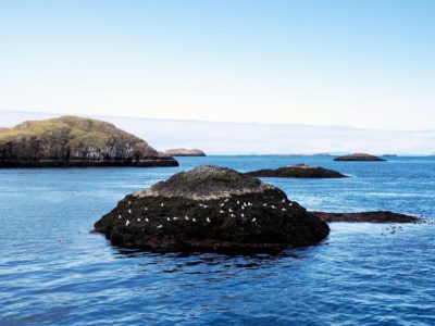 Snaefellsness Peninsula Iceland