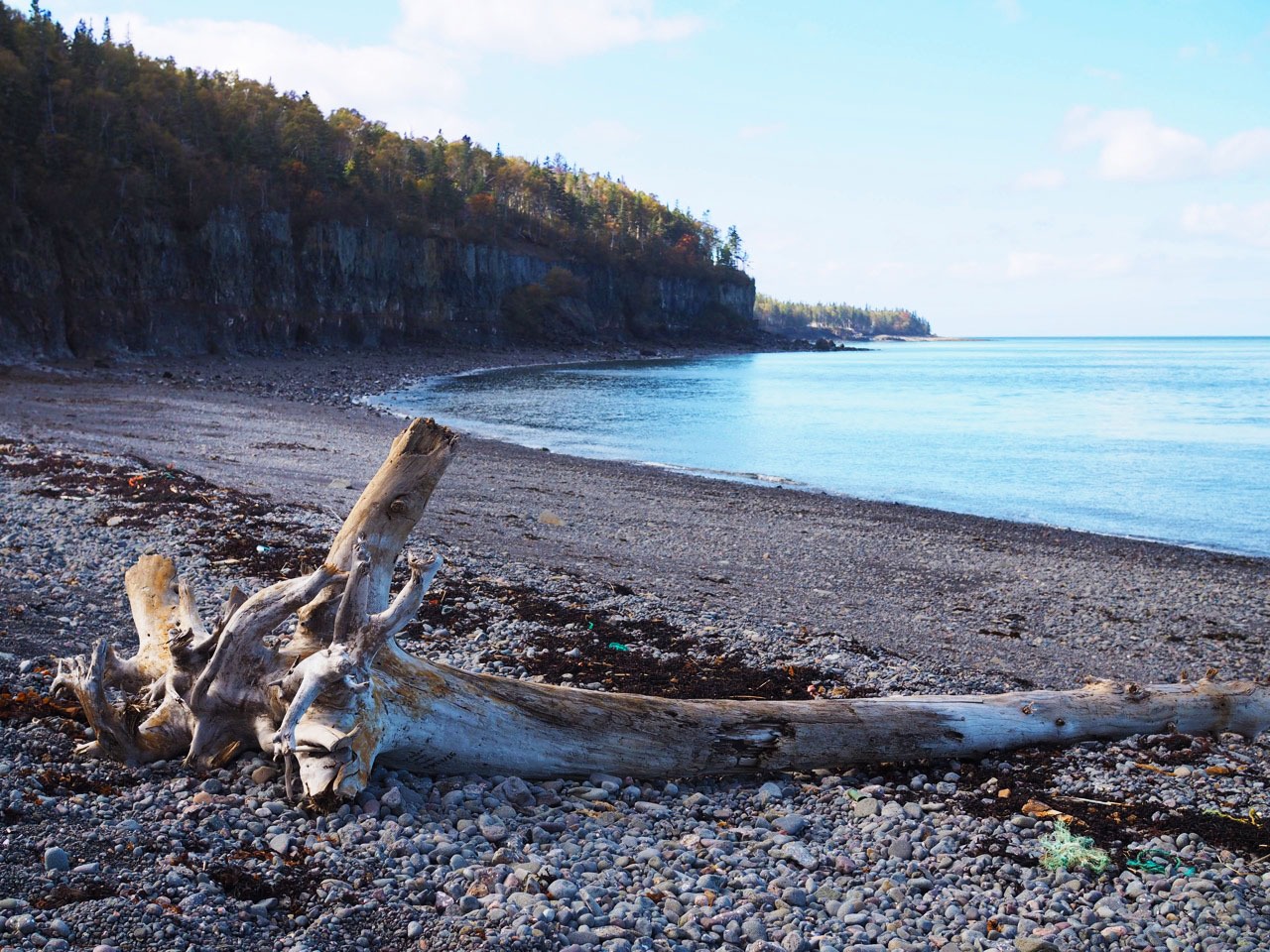 Nova Scotia Road Trip