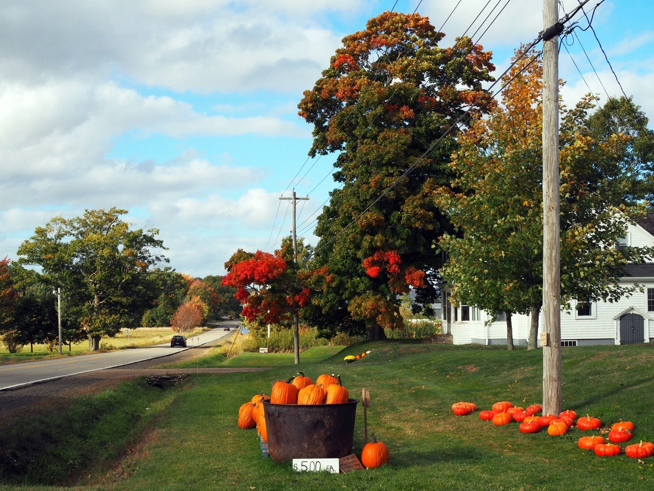 Nova Scotia Road Trip