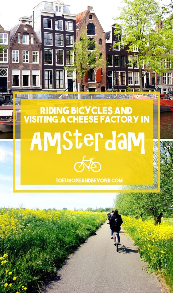 Bikes, windmills and clogs: the Netherlands in a nutshell