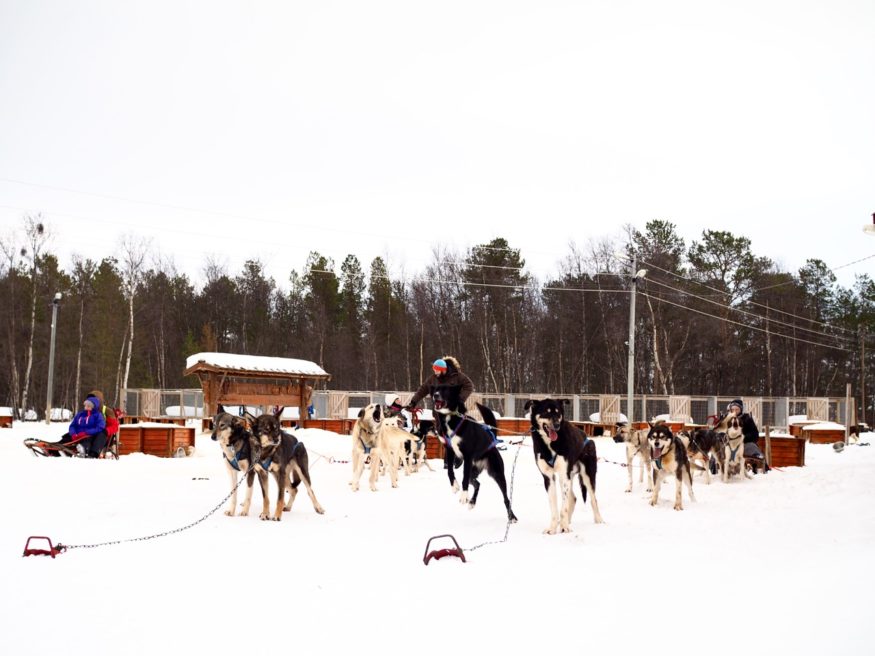 Holmen Husky Lodge