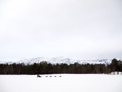 Holmen Husky Lodge