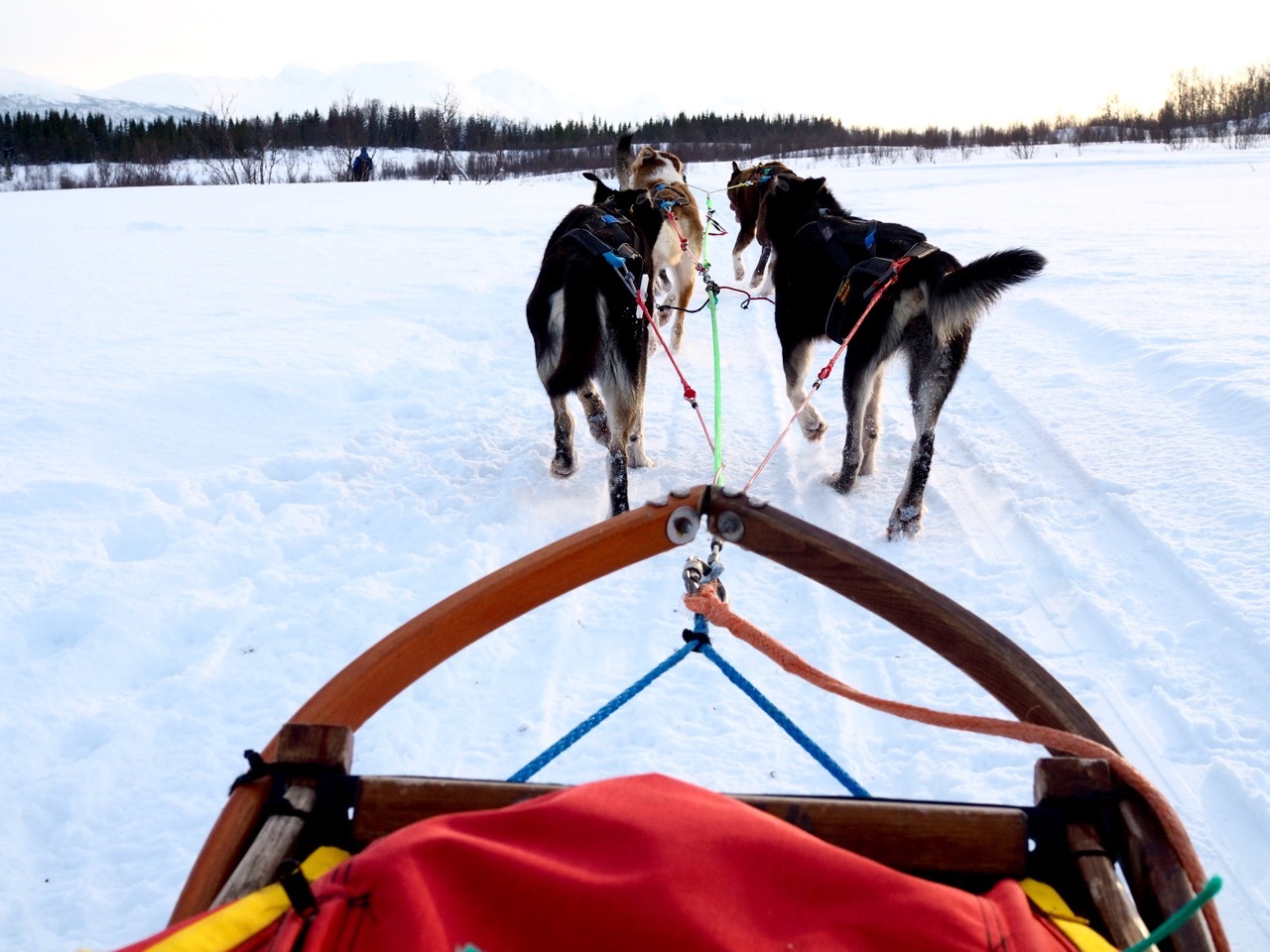 Holmen Husky Lodge