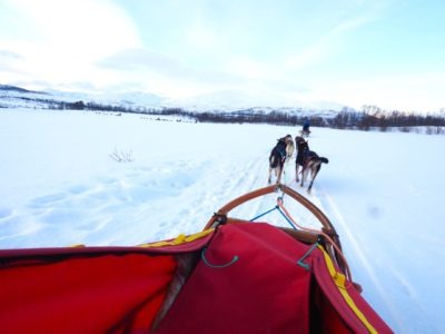 holmen husky lodge