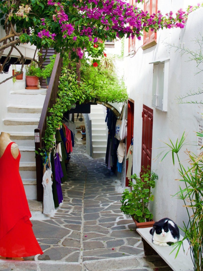 Cats in Greece