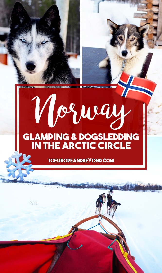Dogsledding at Holmen Husky Lodge in Northern Norway