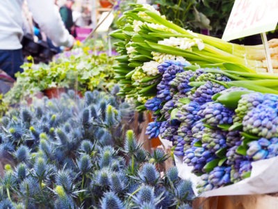 Columbia Road Flower Market in London