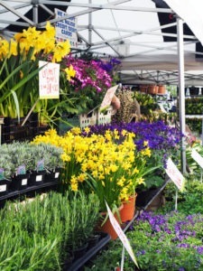 Columbia Road Flower Market in London