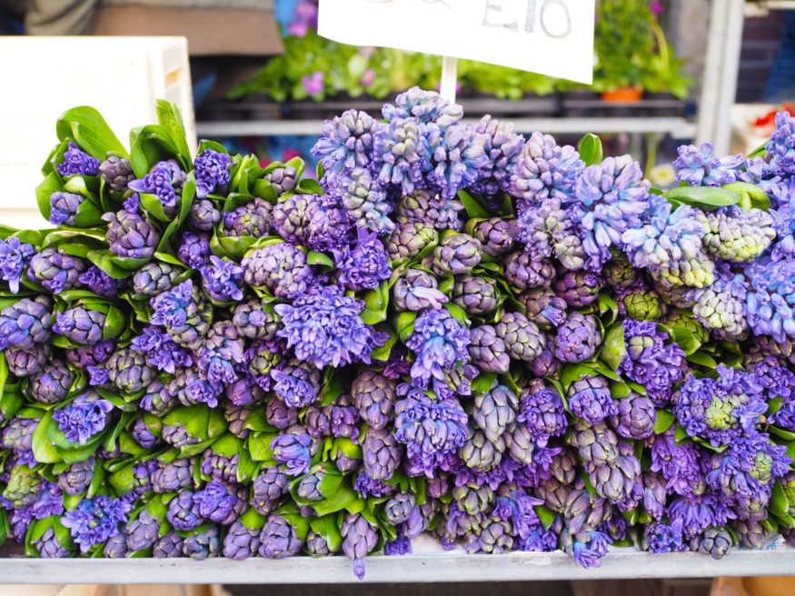 Columbia Road Flower Market in London