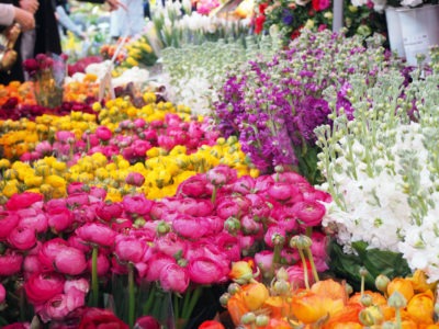 Columbia Road Flower Market in London