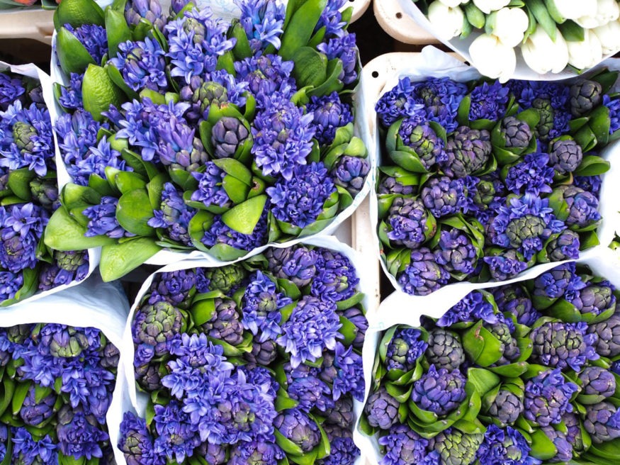 Columbia Road Flower Market in London