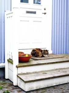 photos of reykjavik