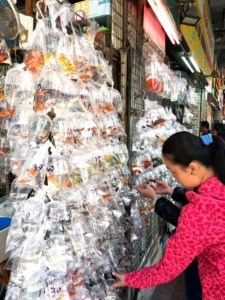 Things to Do in Hong Kong