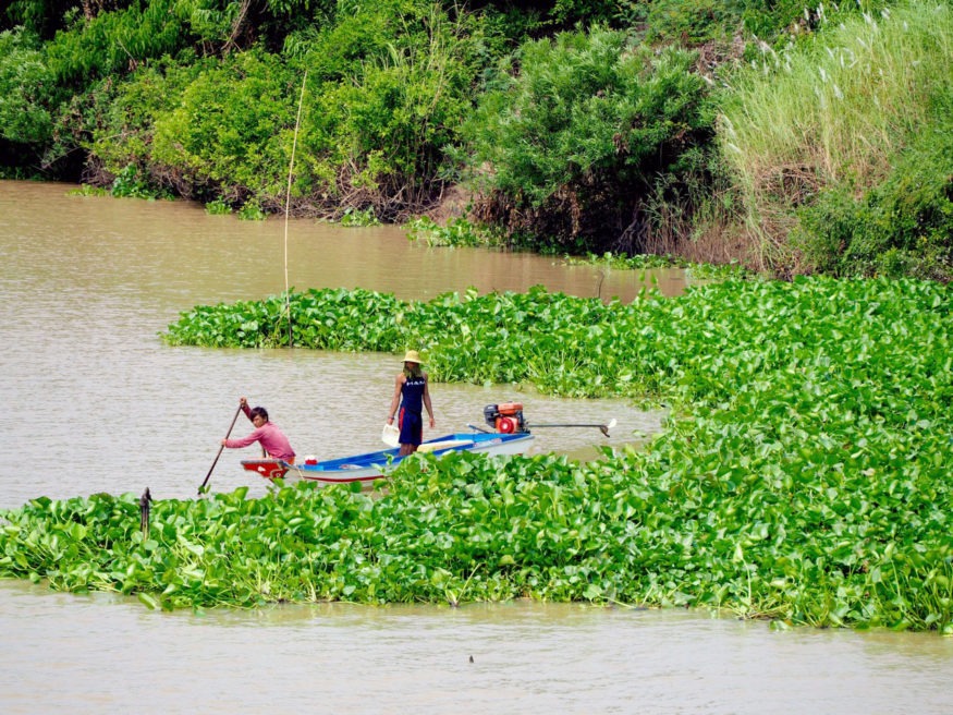 River Cruise on the Mekong