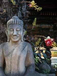 River Cruise on the Mekong