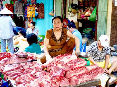 River Cruise on the Mekong