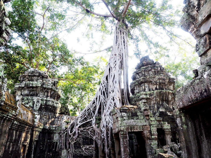 Angkor Wat Temples