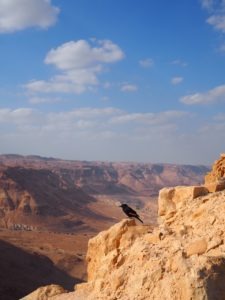 israel itinerary