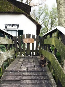 day trip to giethoorn