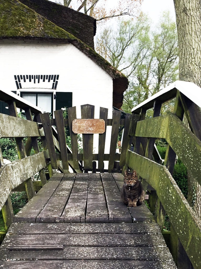 day trip to giethoorn