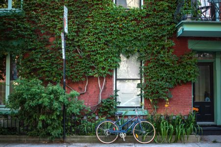 plateau mont-royal