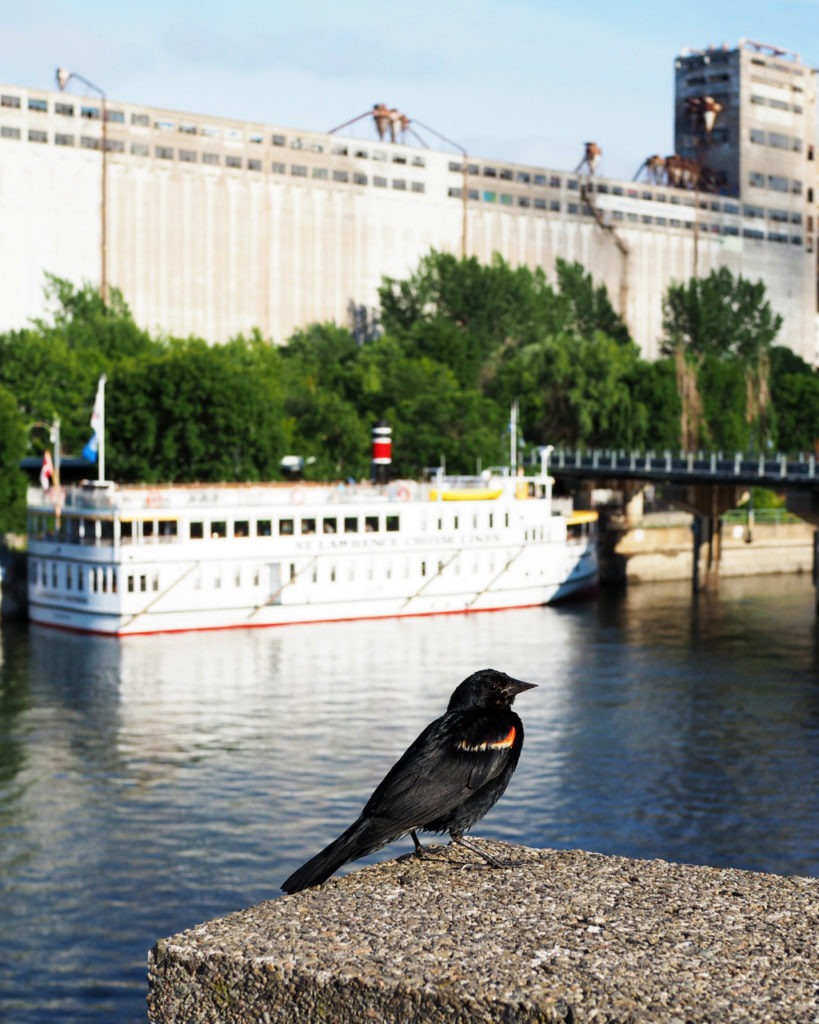 Old Port Montreal