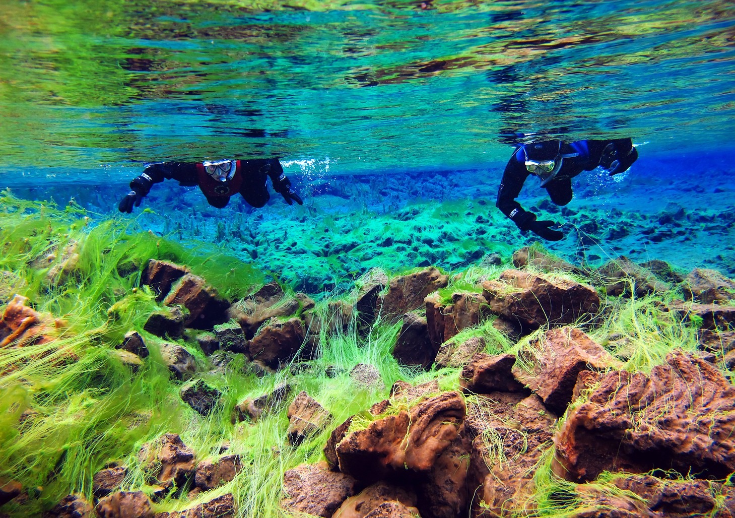 Clearest waters in Silfra - The Best Day Trips From Reykjavik