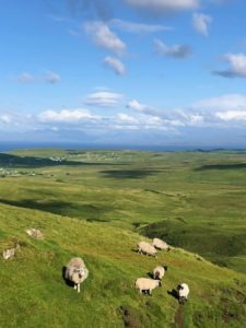 Sheep at the Quiraing Isle of Skye - Scotland itinerary.jpeg